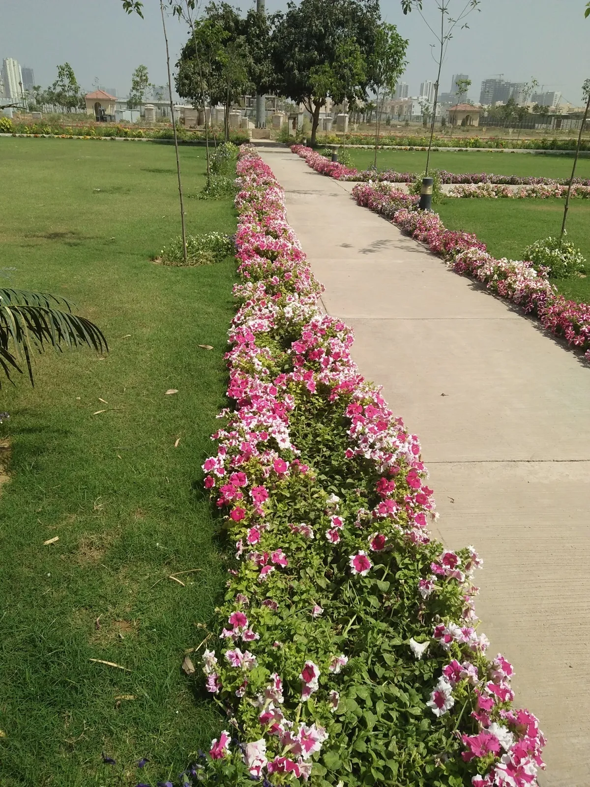 Emaar Emerald Hills photo 2